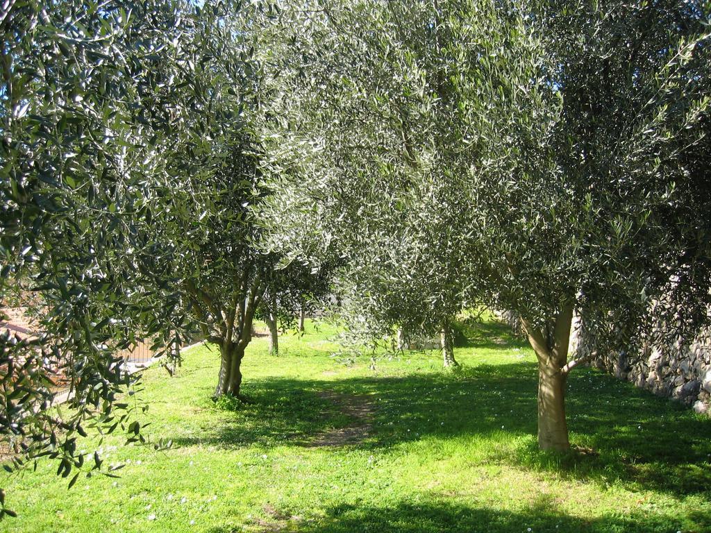Mas De Vence - Hotel-Restaurant Kültér fotó