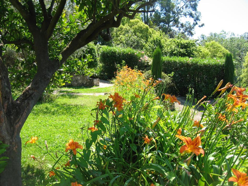 Mas De Vence - Hotel-Restaurant Kültér fotó
